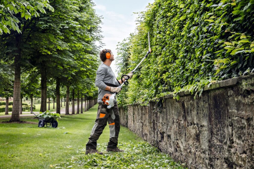 hedge trimming services near me