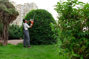 hedge trimming services near me