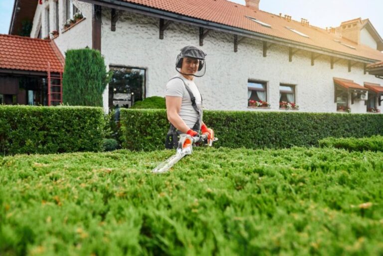 When Is the Best Time to Trim Your Hedges in Sydney?