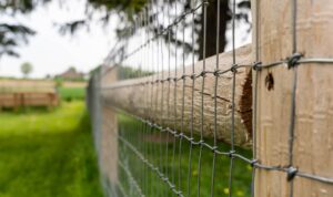 Mesh Fencing