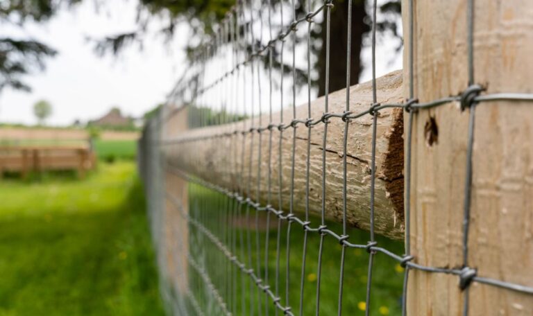 Mesh Fencing for Construction Sites: What Are the Compliance Requirements in Australia?