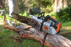 Need a Tree Report? Hire a Certified Arborist Chatswood Today