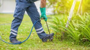 Home Termite Control